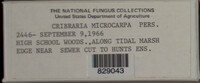 Image Associated With the Occurence